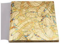 Variegated leaf Organic 50 Bl&auml;tter